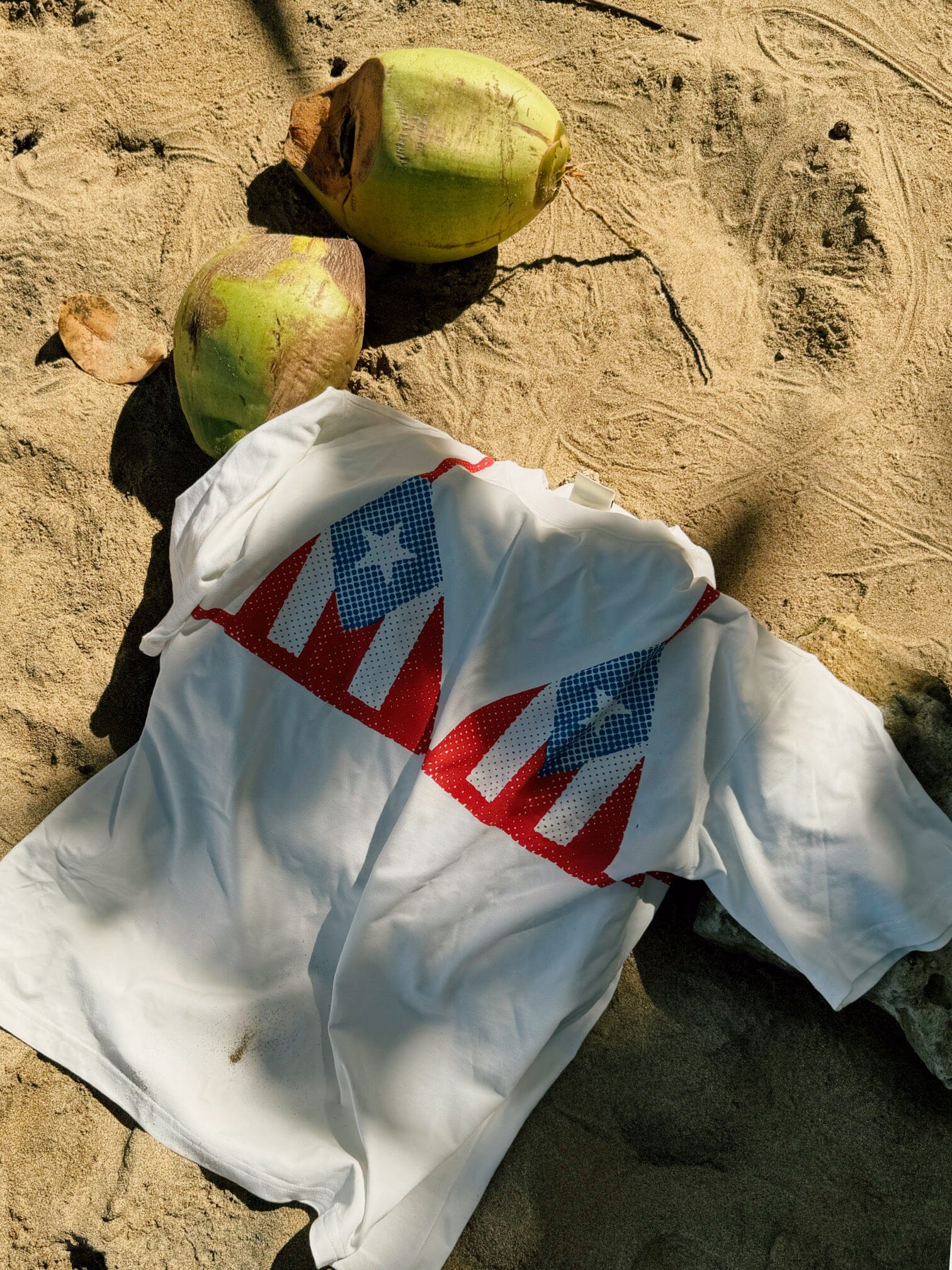 PRE-ORDER PR BIKINI TEE