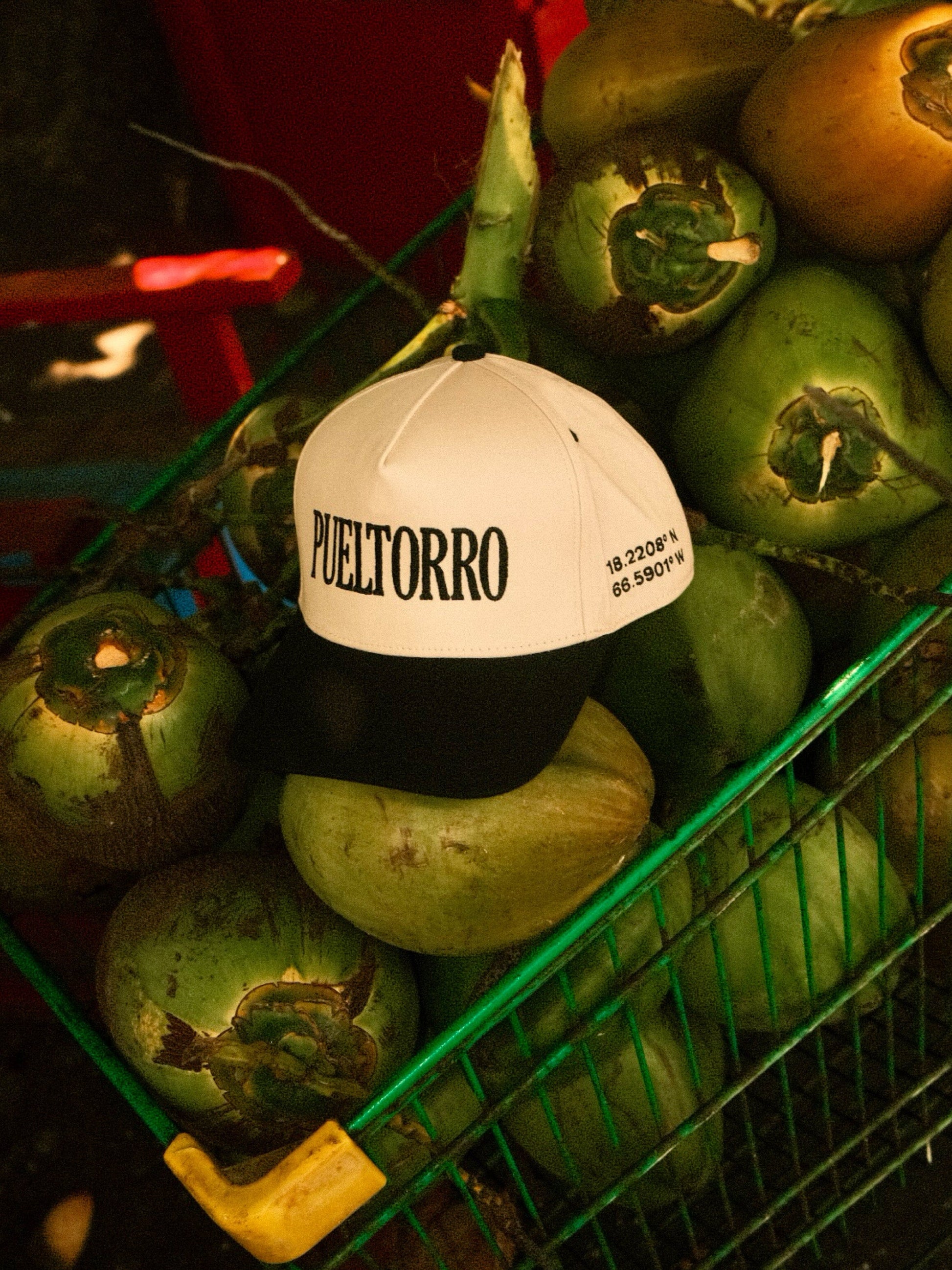 Pueltorro Trucker Cap Eledé Black 